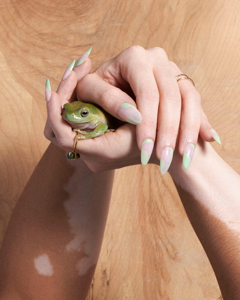 overhead view of a person holding a frog